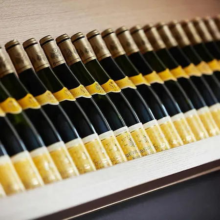 Ξενοδοχείο Ibis Styles Nord Κολμάρ