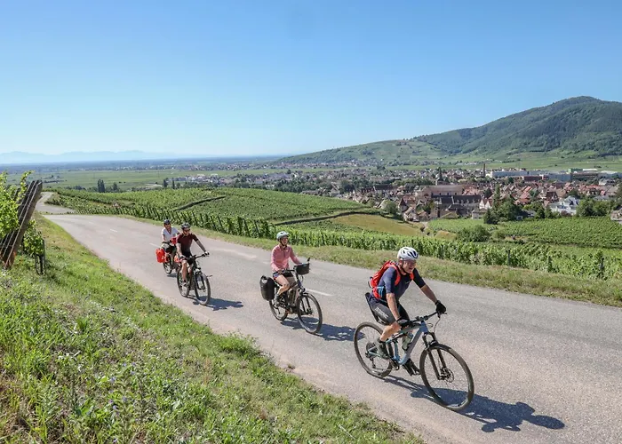 Ibis Styles Nord Hotel