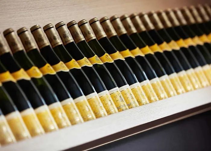 فندق إيبيس ستايلز نورد كولمار